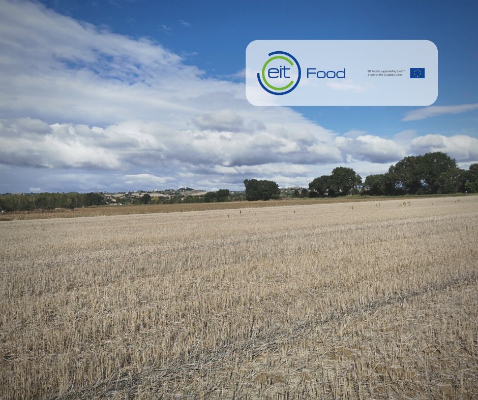 linkdapa's tweet photo. Electrical conductivity analysis carried out in 4 #wheat fields in Casalina (Umbria, Italy) to acquire new data that will improve #LINKDAPA project's algorithms for the prediction of wheat yield and protein!
@EITFood | @UniofReading  | @UniHohenheim | @JohnDeere | @AgricolusSuite https://t.co/uaTYz68LNX