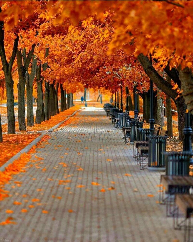HakimiNena's tweet photo. این شهر بی تو انگار چیزی کم دارد...
به گمانم هوایی برای نفس کشیدن....
#الهم_عجل_لولیک_الفرج https://t.co/vR7d7n6e1i