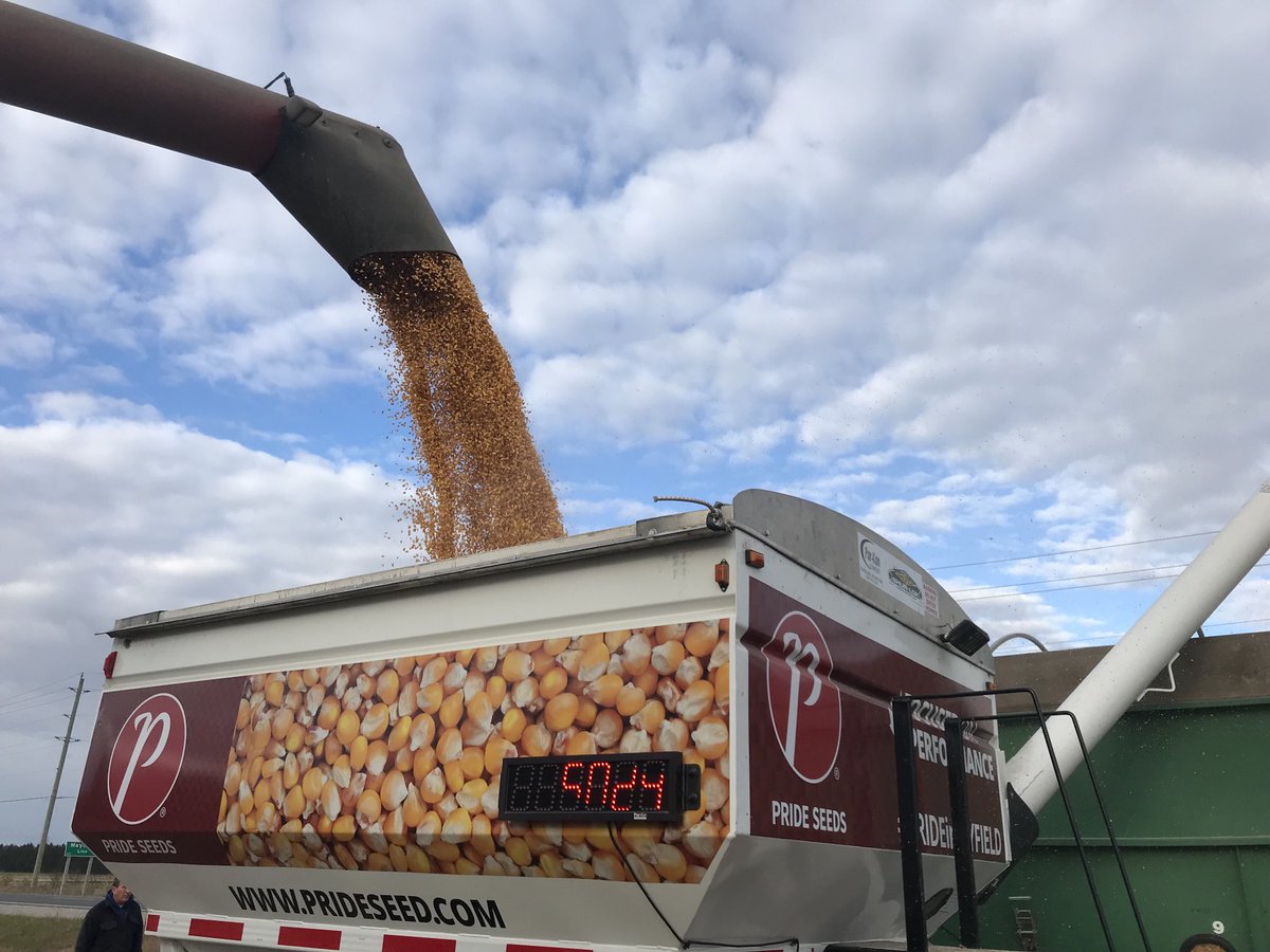PRIDE Seed A8303G8 topping another weigh off near Chatham, Ontario
