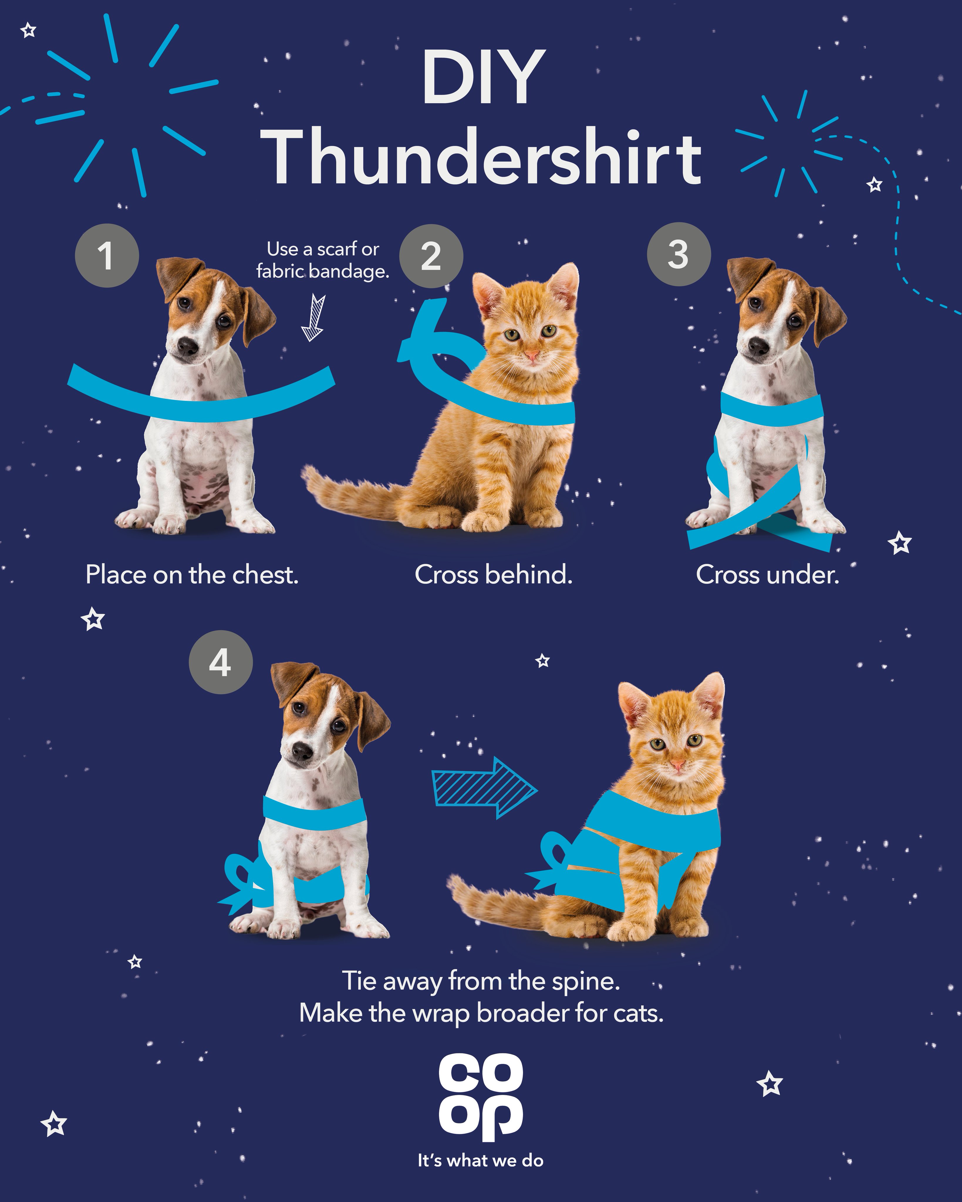 Co op Insurance on X Calming plug ins and Classic FM were a few of the tips you suggested to keep pets calm during fireworks. Here s a tip of our own step by