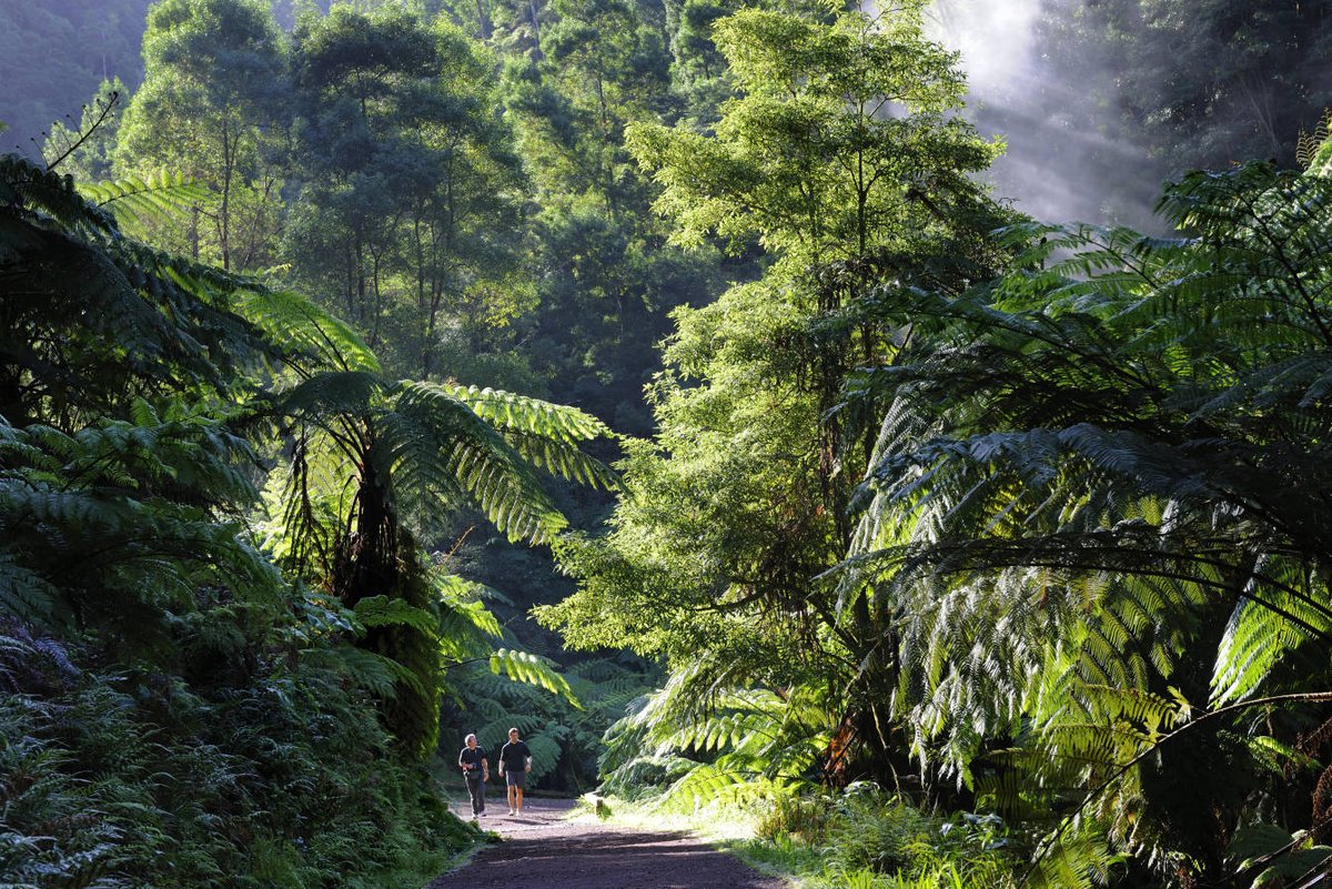 visitportugal's tweet photo. New #Azores travel documentary premieres on TV5 Monde https://t.co/kh8cvdnlgm via @TravelTomorrowX 
On Monday, November 1st, @TV5MONDE premiered a new episode of the Embarquement TV series showcasing the wild beauty of a Portuguese jewel: the Azores.
#portugal #traveltips https://t.co/o2DVp8w1a4