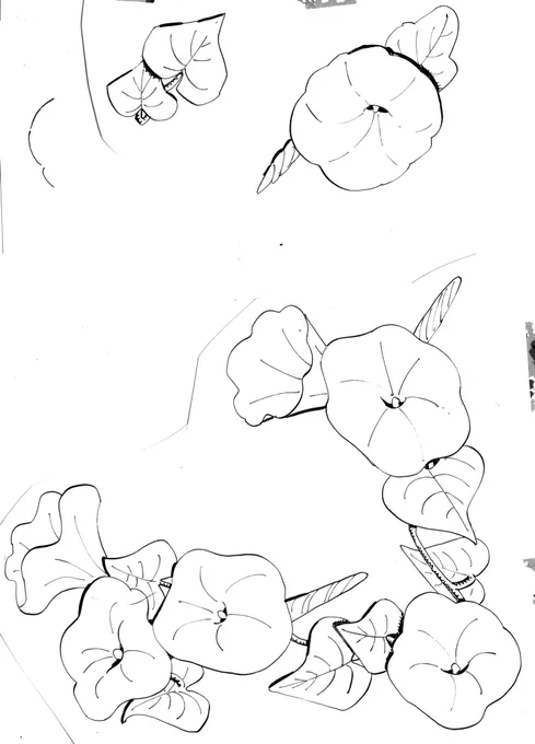 今日は読み切りが配信されました!
1ページ目はこんな感じにバラバラに描いたのをパソコンで色塗ってくっつけて出来ました。 https://t.co/oYMkkThb3Z 