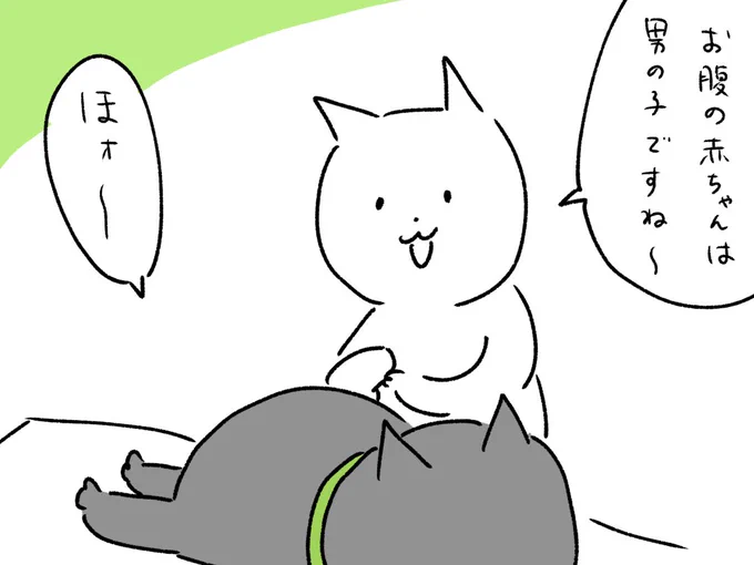 ついに性別、わかるッ!! 