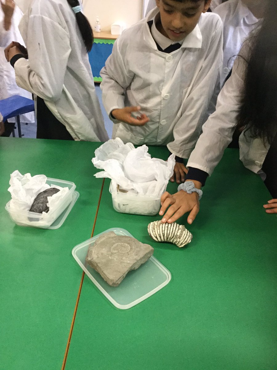 MissPalliser's tweet photo. “Miss who is older your or the fossils...?”
Thank you for an amazing experience looking at real life fossils @LapworthMuseum! @PaganelScience #6Adoscience https://t.co/hbVSleLyWy