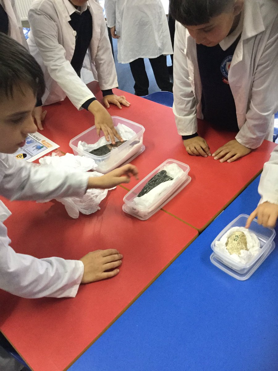 “Miss who is older your or the fossils...?”
Thank you for an amazing experience looking at real life fossils <a href="/LapworthMuseum/">Lapworth Museum of Geology</a>! <a href="/PaganelScience/">Paganel Science</a> #6Adoscience