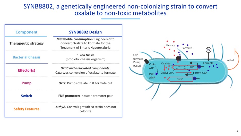 aoifemlbrennan's tweet photo. A short 🧵 on poop…..and biomarkers.

Today we @synlogic_tx shared some nice data from our SYNB8802 program a #synbio engineered strain that is being developed as a potential treatment for enteric hyperoxaluria at @ASN’s #kidneyweek. https://t.co/2YmASWt6Rf