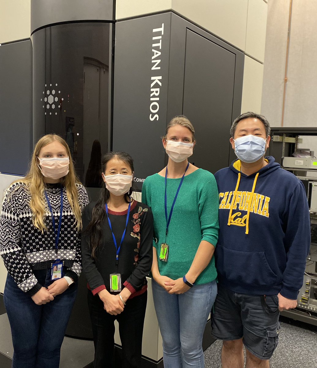 DoreenMatthies's tweet photo. A fully funded postdoc position is available in the Matthies Lab at @NICHD_NIH @NIH. If you are interested in working towards high-resolution structural biology of membrane protein complexes in their native environment and got your PhD less than 5 years ago, contact me. https://t.co/hQAK8vSKtr