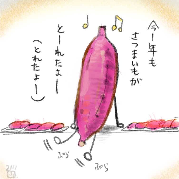 家庭菜園のさつまいも2020・2021 
