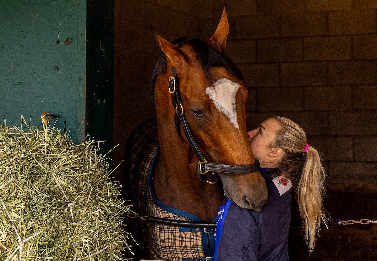 BreedersCup's tweet photo. The hard work and preparations are complete, it's time for the 2021 #BreedersCup World Championships. 🏇🏆
Watch on NBCSN beginning at 5 PM ET / 2 PM PT! https://t.co/zbIztwp6xM