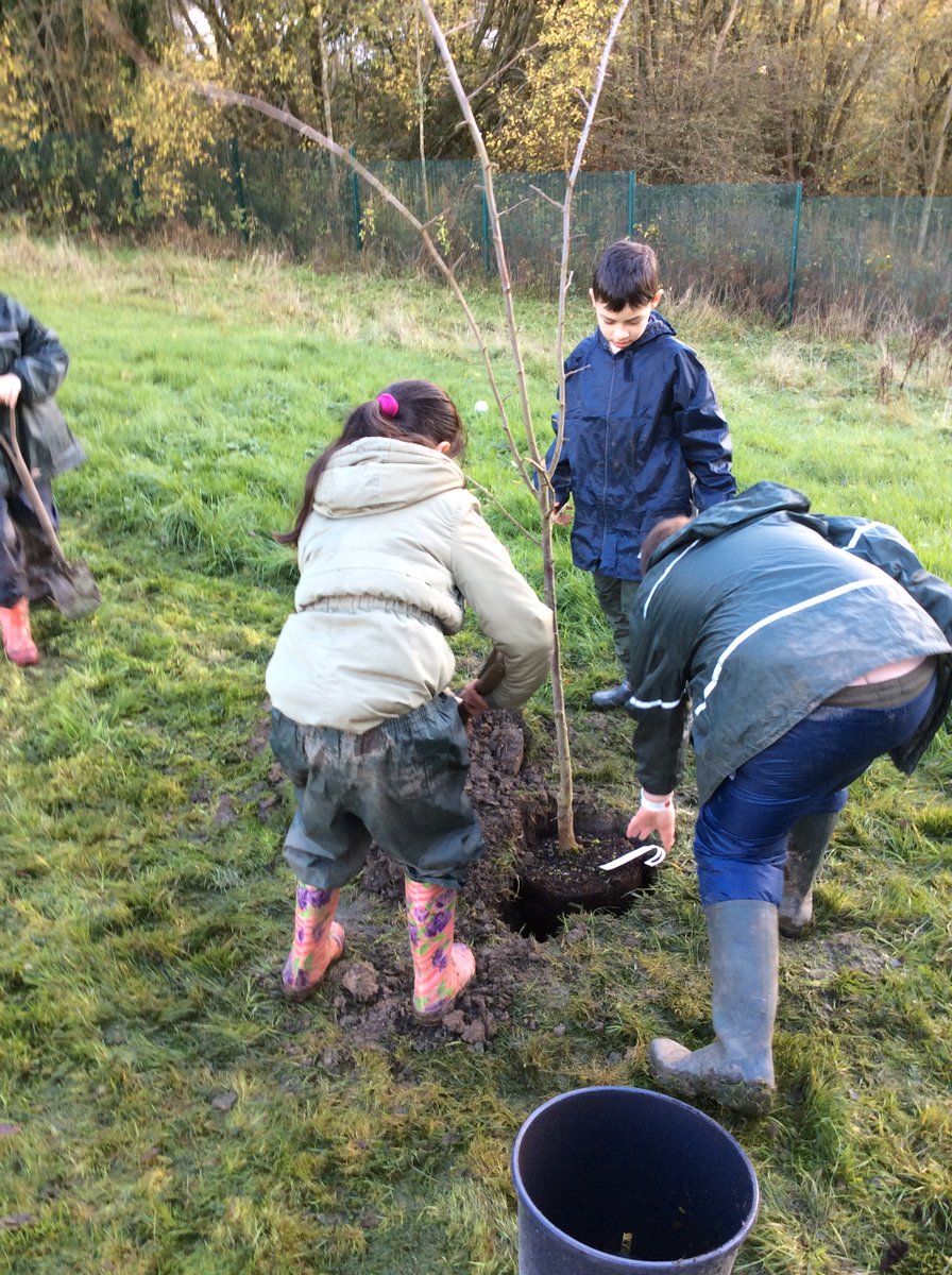 SJSNelson's tweet photo. There was no better way to spend #OutdoorClassroomDay than making a fire, eating cheesy crumpets, making a tyre swing and planting trees with @elementalforest https://t.co/CmXuUoXO7Y