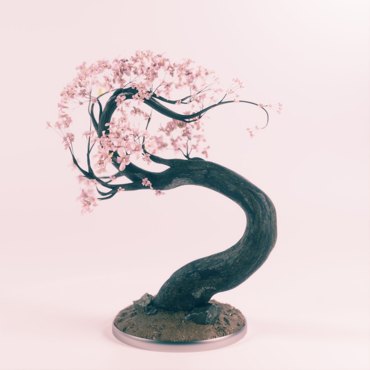 Bonsai Plug #NFT is going up for auction on Monday 11/8 on <a href="/opensea/">OpenSea</a>!  This beauty was made from a user request on our Discord channel

Have an idea for a plug?  We'll make it a reality! 
👂👂
discord.gg/SYWCjdCX