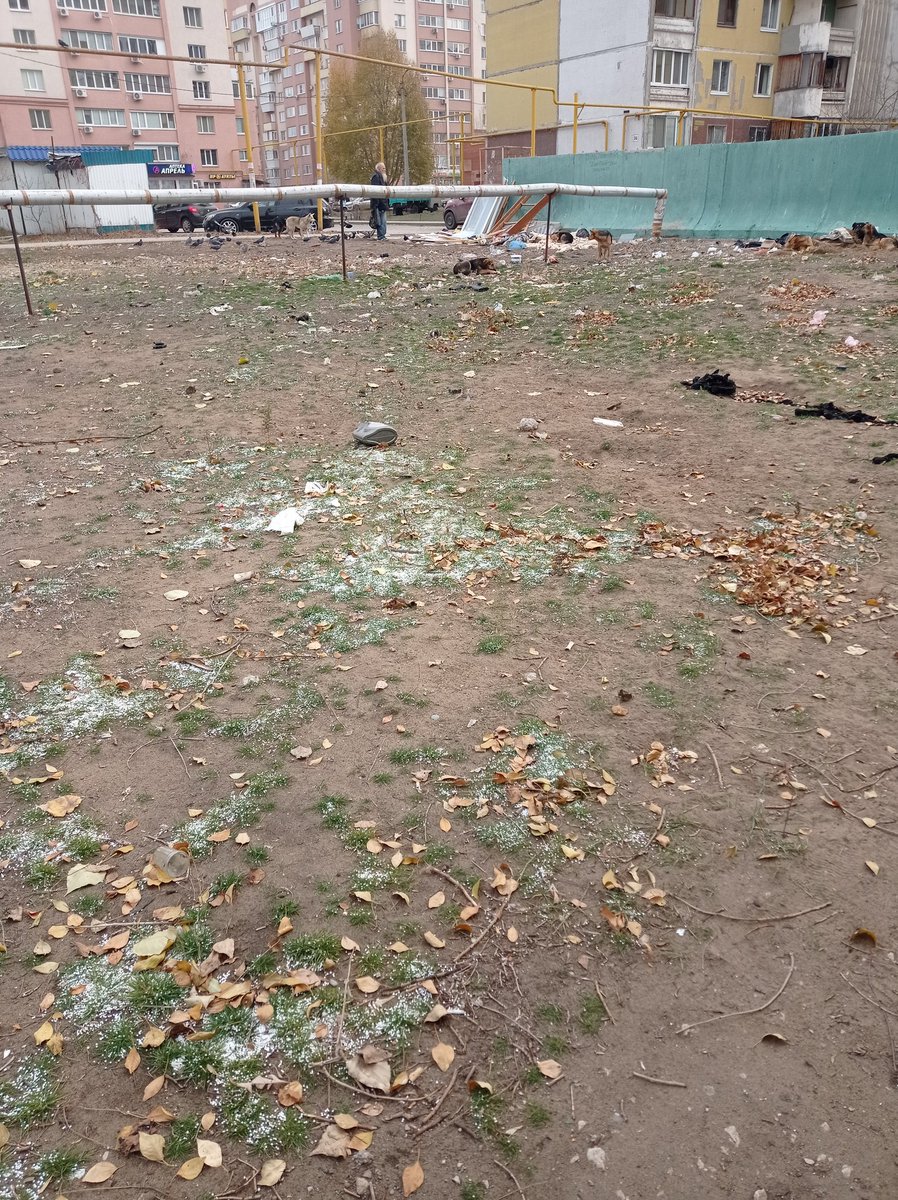 okpat2's tweet photo. @kuibadm Здравствуйте, мусор, собаки- уже стало постоянной картиной, как в фильмах ужаса.Улица  Белорусская 30 https://t.co/EU9jdxCetd