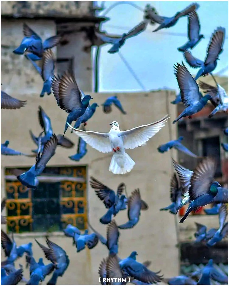 Being different makes you beautiful. #जयशम्भो❤️🙏