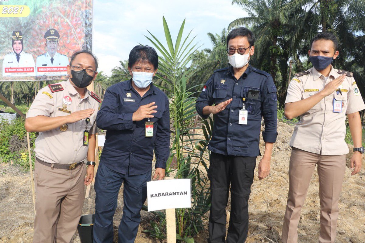 BarantinRI's tweet photo. Jumat (5/11), Ka @Barantan_RI, Ir. Bambang, MM mendampingi  Mentan @Syahrul_Yl  pd  penanaman bibit sawit prg PSR di Ds Talang Bukit, Kec Bahar Utara, Muaro Jambi.

Selain itu, dilkn jg tanam jagung sbg tanaman sela, Ka @karantinajambi, Turhadi trt hadir.

#KunkerMentanDiJambi https://t.co/jy9oORVUip