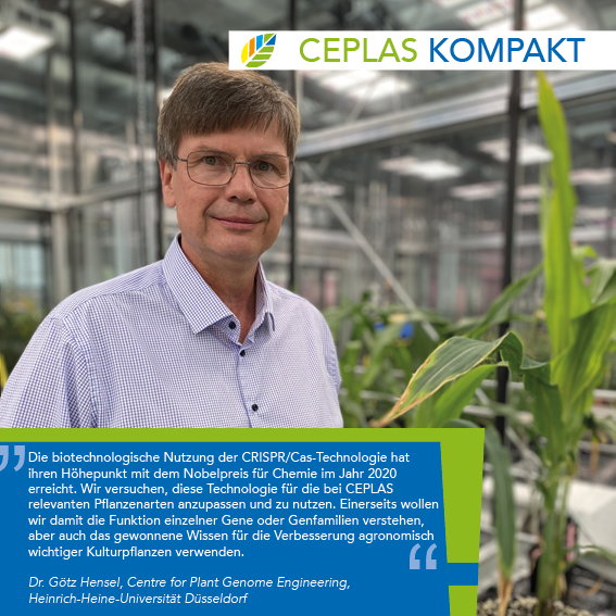 ceplas_1's tweet photo. CEPLAS Kompakt – heute mit Götz Hensel @GoeHensel, Leiter des Center for Plant Genome Engineering @HHU_de.🌾🌾#ceplaskompakt #scicomm #plantsci https://t.co/4WGSubTOIr