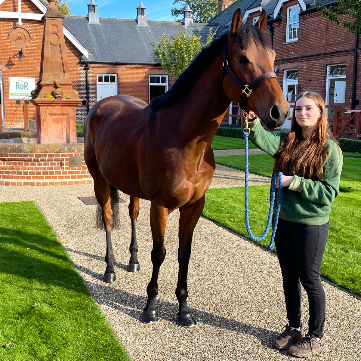 NHRMuseum's tweet photo. Bye Boma Green we'll miss you @FellowesRacing #horseracing #thoroughbred #racehorse #BomaGreen https://t.co/OO6IrGY75b