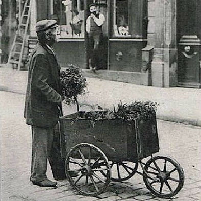 ParisAMDParis's tweet photo. Marchand de mouron pour les petits oiseaux. 
1900s  #Paris https://t.co/x79iFxSw1B
