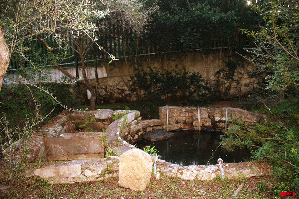 MuseiCaprera's tweet photo. La pioggia🌧️ha riempito i pozzi che servivano principalmente per irrigare gli orti coltivati da #Garibaldi. Durante gli anni trascorsi a #Caprera, dagli orti l'eroe ricavava il fabbisogno di ortaggi per la sua piccola comunità. https://t.co/Yvk546tSzW