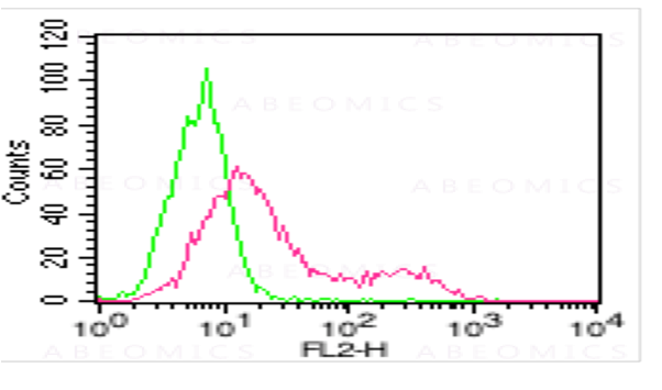abeomics's tweet photo. anti-ACE2, mAb (Clone: AC18F)

For more details visit our website - : https://t.co/bFpHF8acvs and follow the web-page : https://t.co/eTToTdpVkO

#Monoclonal https://t.co/tTaRWf8U81