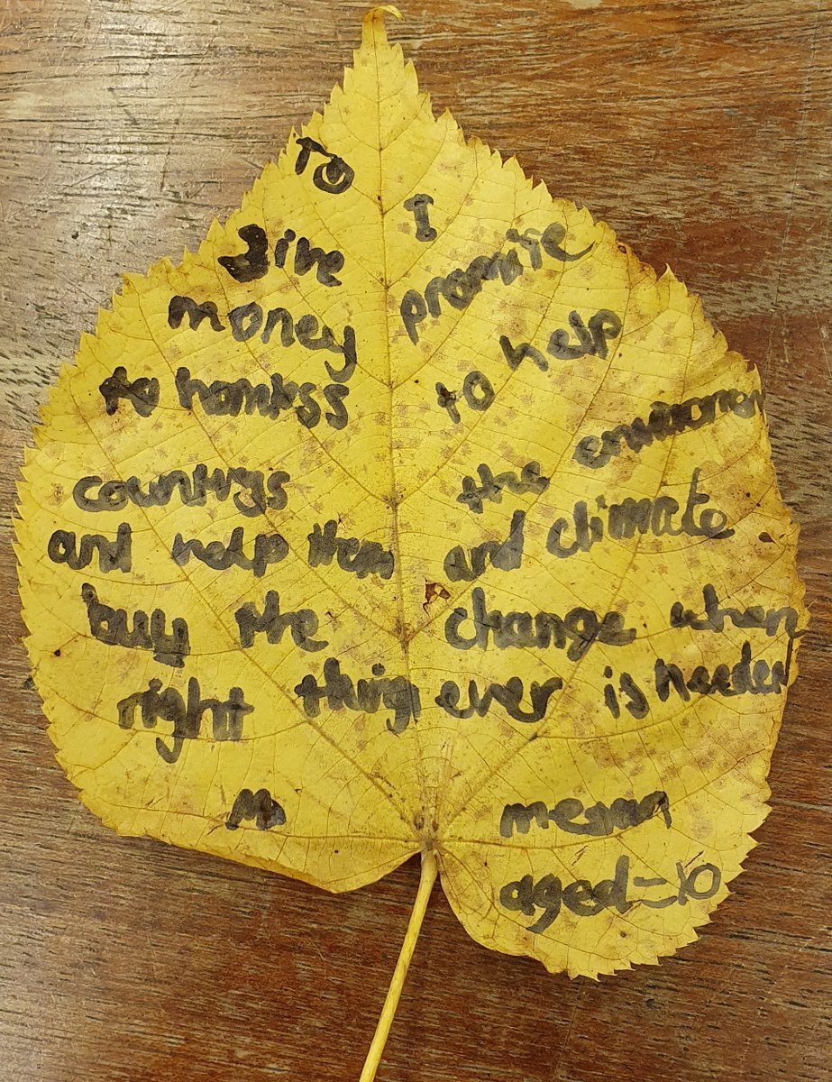 In this week's Science lessons, KS2 have been learning about climate change and COP26. They have all made a #PromiseToThePlanet and said what they wish world leaders to do. These will be shared with <a href="/wwf_uk/">WWF UK</a> to join the global #ForestOfPromises!