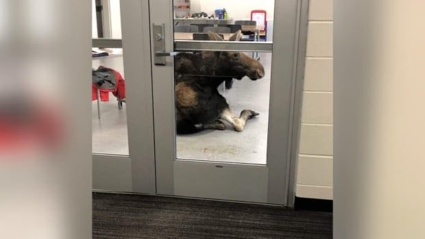 Allan Rienstra tweet media