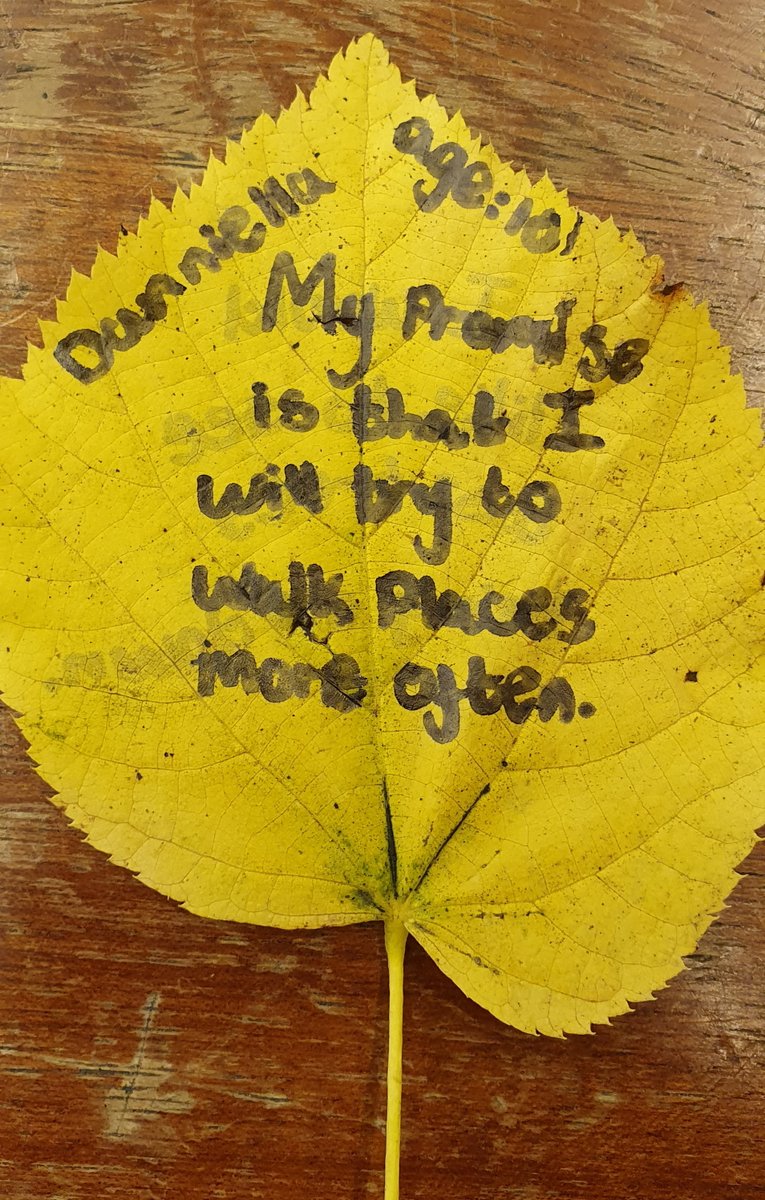 In this week's Science lessons, KS2 have been learning about climate change and COP26. They have all made a #PromiseToThePlanet and said what they wish world leaders to do. These will be shared with <a href="/wwf_uk/">WWF UK</a> to join the global #ForestOfPromises!