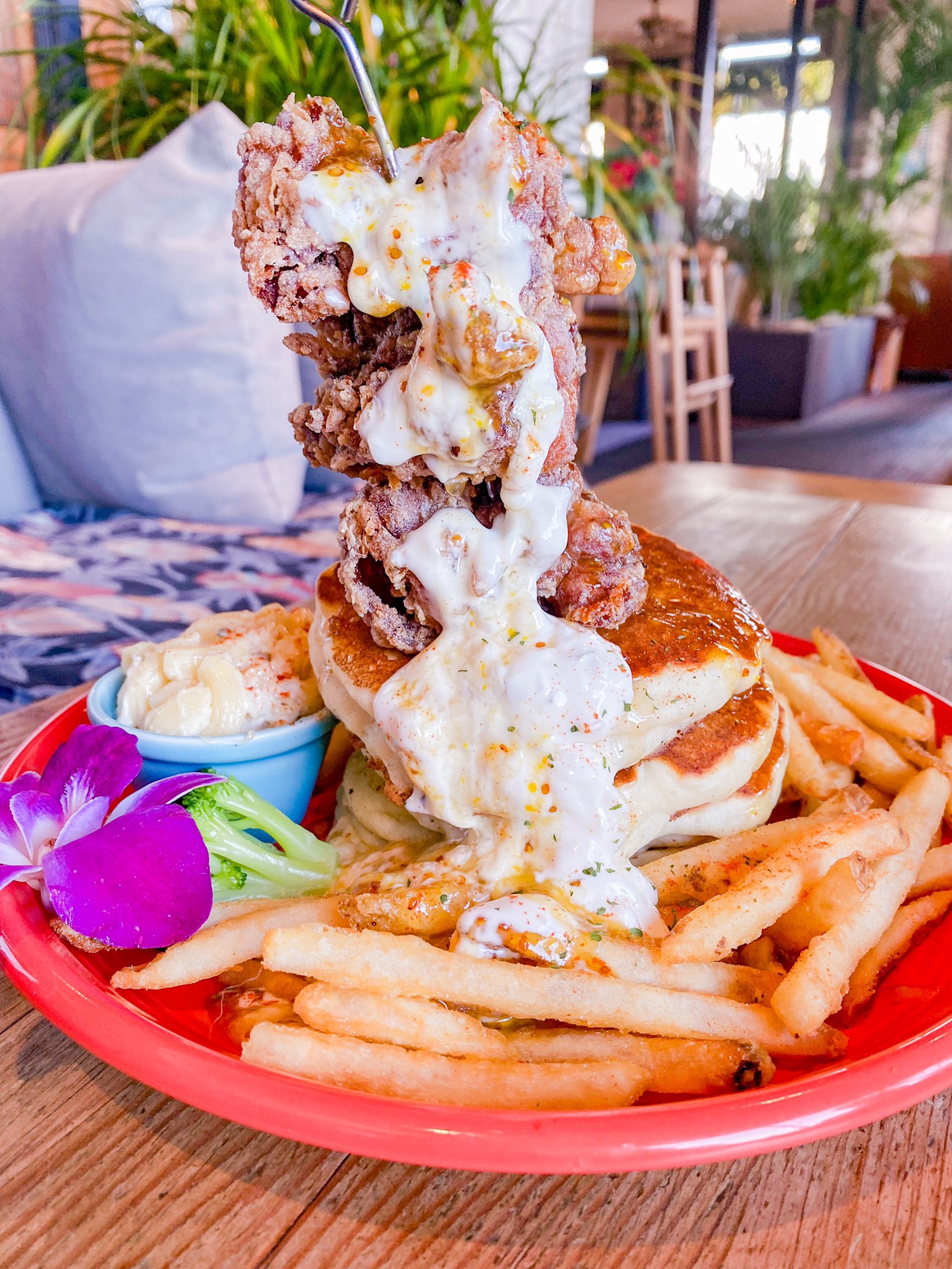 九鳥ぽぽ Popo Kudori Twitter