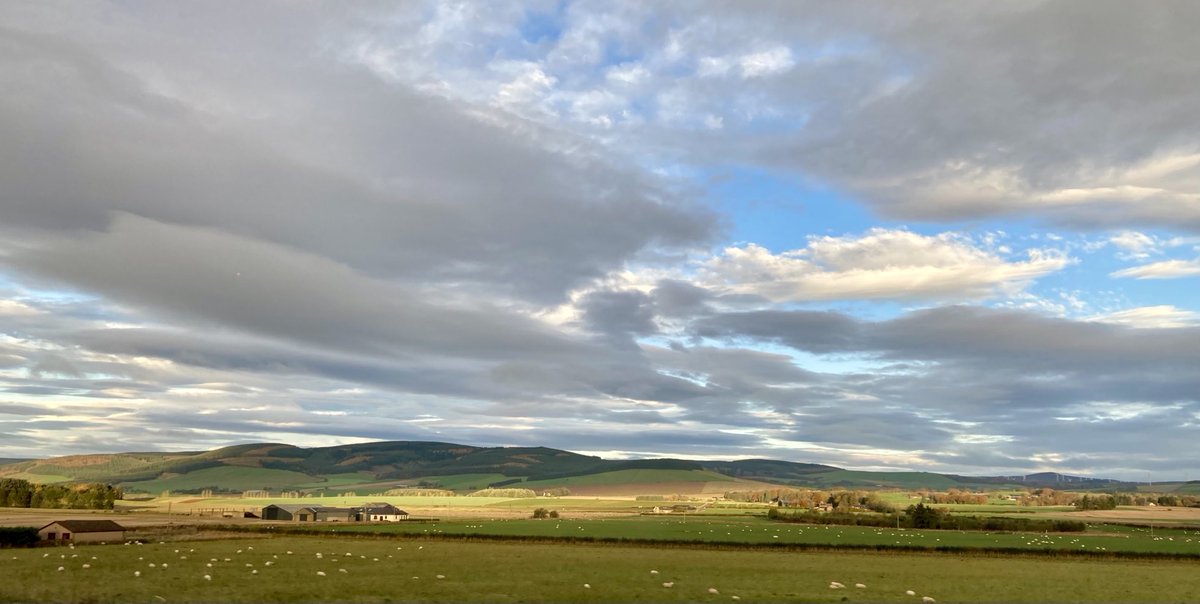 Joe Pierce tweet media