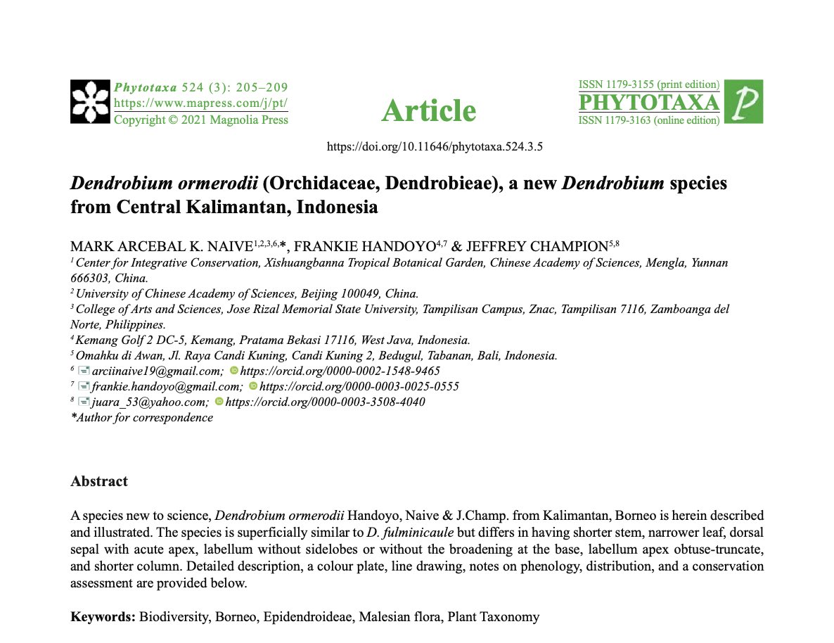 species-named-after-rizal-best-deal-www-micoope-gt