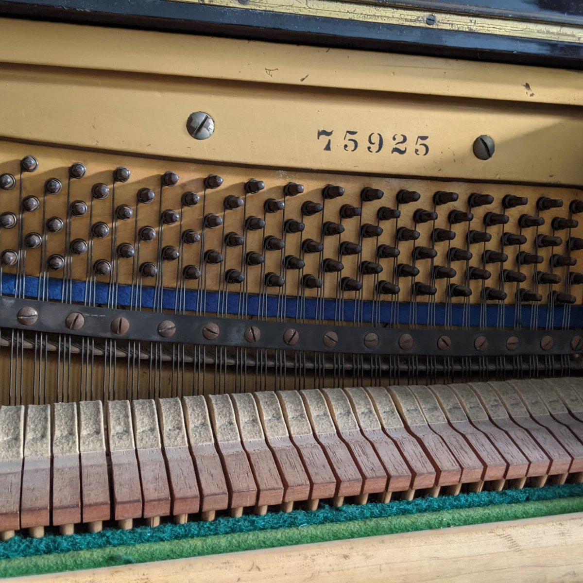 pianotunermjr's tweet image. 🎹 Piano Tuning in Telford, Shropshire 🎹 
Tuning a 'J &amp;amp; J Hopkinson' Upright Piano dating from 1925
#piano #hopkinson  #pianotuner #pianotuning #classical #musicians #classicalpiano #pianist #Telford #Shropshire #repair #tuning #instruments