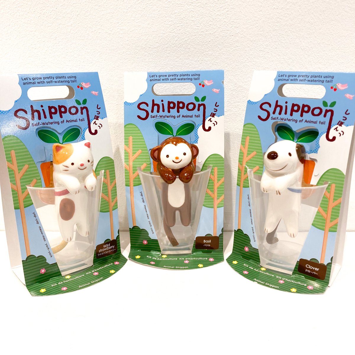 swaygallery's tweet photo. 【#BACKINSTOCK】#Shippon - Animal ceramic planters
Adorable and clever #animalplanters with self-watering tail.
They grow different plants:
#cat🐱 - #WildStrawberry / #dog🐶- #Clover / #monkey🐵- #Basil
https://t.co/YboSKrBIET
Available in store and online 🌱
#swaygallery https://t.co/WMU2EDwYNn