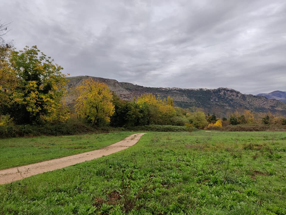 LifeSamfix's tweet image. First day of the Italian national conference of the Samfix project! 
The shots of our participants arrived from @ParcoCastelli. 

#samfix #parcopantenello #lazio #oasidininfa #xylosandrus #lifeprogramme @LIFEprogramme @Parco_Circeo @visit_lazio