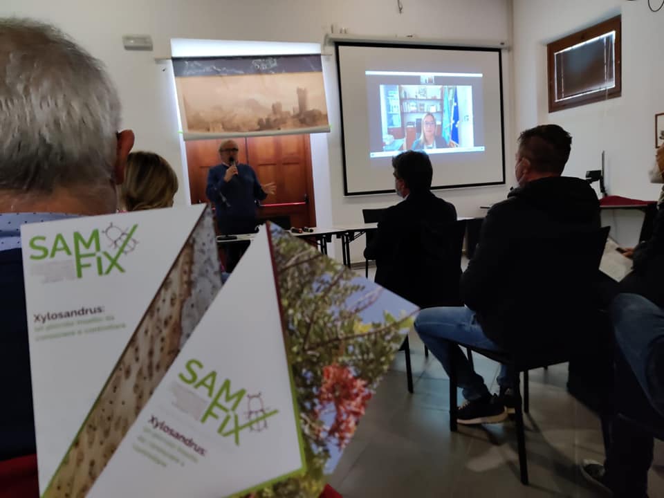 LifeSamfix's tweet image. First day of the Italian national conference of the Samfix project! 
The shots of our participants arrived from @ParcoCastelli. 

#samfix #parcopantenello #lazio #oasidininfa #xylosandrus #lifeprogramme @LIFEprogramme @Parco_Circeo @visit_lazio