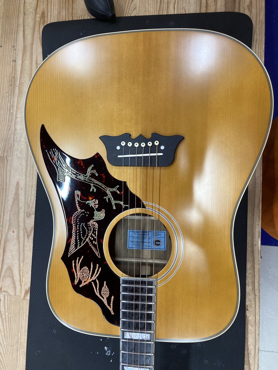 od_musics's tweet photo. New arrival !!!
Epiphone
Master bilt Excellent
FT120(2020年製)
Master biltシリーズより満を持して復刻された、Excellent FT120!!
1963~70年の間に141本しか生産されなかったEpiphoneの中で最も希少なモデルです!
#Epiphone #Masterbilt #FT120
#エレアコ #楽器 #楽器買取 #王の洞窟 https://t.co/9pjxTDgpkZ