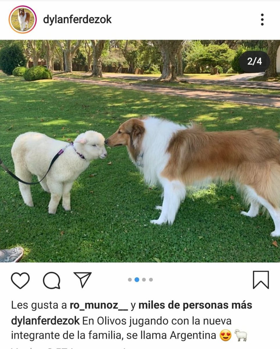 therealbuni's tweet photo. dólar: *llega a 200 pesos*

mientras tanto en olivos: https://t.co/FRoW8aZDco