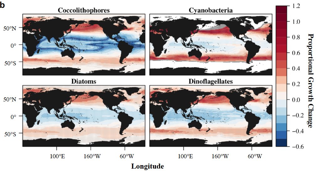 Rynearson Lab (@rynearsonlab) on Twitter photo Congrats to Stephanie Anderson @cellsofglass! Chapter 2 of her thesis is out today in <a href="/NatureComm/">NatureCommunity</a>
rdcu.be/cARlO. We show how new parameterizations of the long-held Eppley curve give insights into phytoplankton growth responses to climate change. <a href="/URIGSO/">URI Graduate School of Oceanography</a> <a href="/RIEPSCoR/">Rhode Island EPSCoR</a> <a href="/NSF/">U.S. National Science Foundation</a> Congrats to Stephanie Anderson @cellsofglass! Chapter 2 of her thesis is out today in <a href="/NatureComm/">NatureCommunity</a>
rdcu.be/cARlO. We show how new parameterizations of the long-held Eppley curve give insights into phytoplankton growth responses to climate change. <a href="/URIGSO/">URI Graduate School of Oceanography</a> <a href="/RIEPSCoR/">Rhode Island EPSCoR</a> <a href="/NSF/">U.S. National Science Foundation</a>