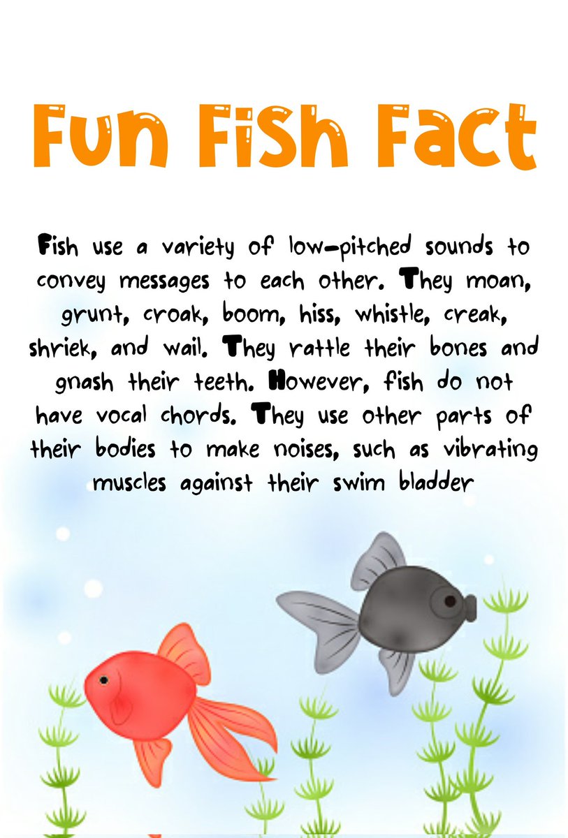 MotherPuffers's tweet photo. Fun Fish Fact ๐ #funfishfact #aquariumhobbist #fridaymorning #DidYouKnow https://t.co/YpaS3kWkW7
