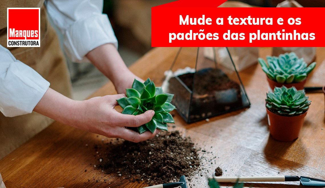marquesconstru's tweet photo. Cansou da forma como as suas plantinhas estão organizadas e quer renovar o espaço? Confira as nossas dicas que são muito simples para repaginar os vasos e dar aquele upgrade na sua decoração: 

#plantinhas #dicasmarques #dicasdederocação #vasos https://t.co/P1ywlYCTVg
