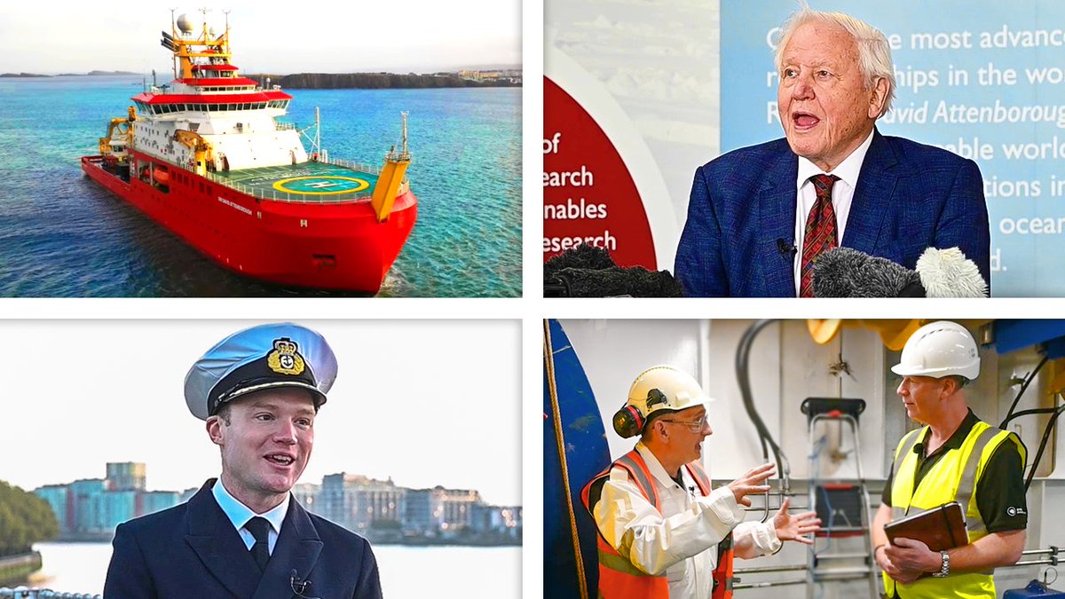 hi-impact tweet media