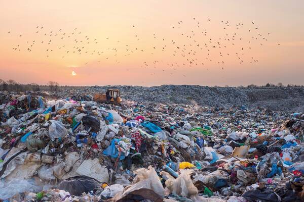 portsmouthuni's tweet photo. Professor Steve Fletcher discusses the new Global Plastics Policy Centre which launched yesterday at the #COP26 Climate Conference, to help find sustainable solutions to tackle plastic pollution around the world https://t.co/lMy0OpLl28 #COP26Plastics #COPUniversities @UoPPlastics https://t.co/QEyfUR03xr
