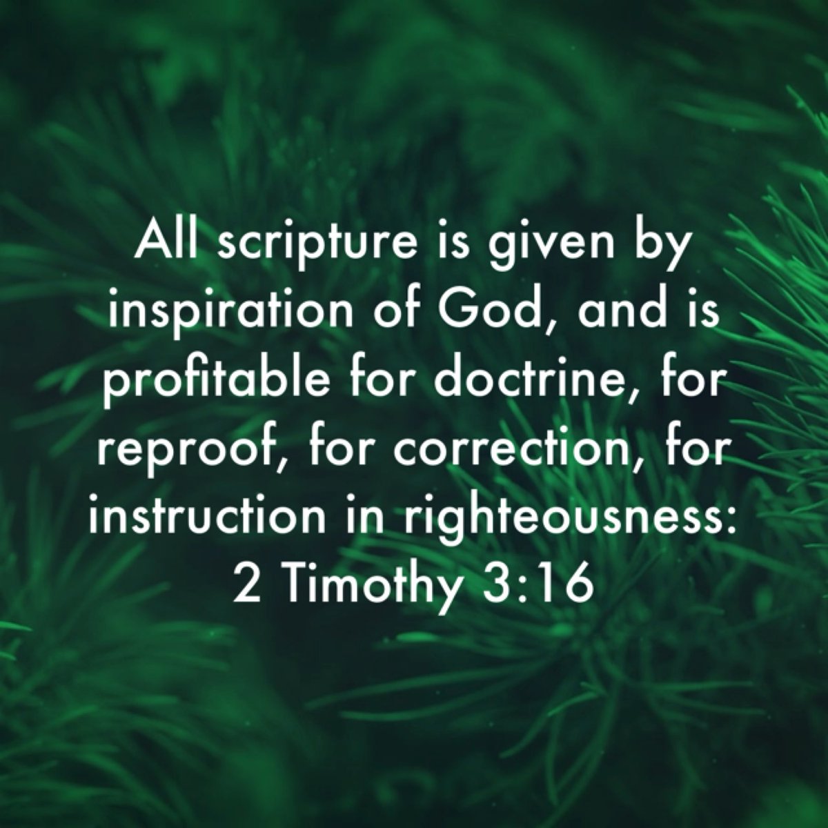 mcveighbaptist's tweet photo. https://t.co/B7MvKN9BO0
