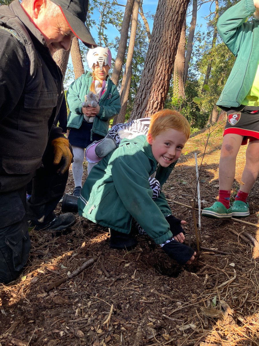 YarrellsSchool's tweet photo. Year 2 children had a great lesson learning about trees and how they are essential to our planet!  They then enjoyed planting their class tree, Gerald, and want to come back in 20 years to see how it has grown!
#climateaction #earthshot @DorsetWildlife @WoodlandTrust @Dorsetecho https://t.co/IiaVQMZGf0