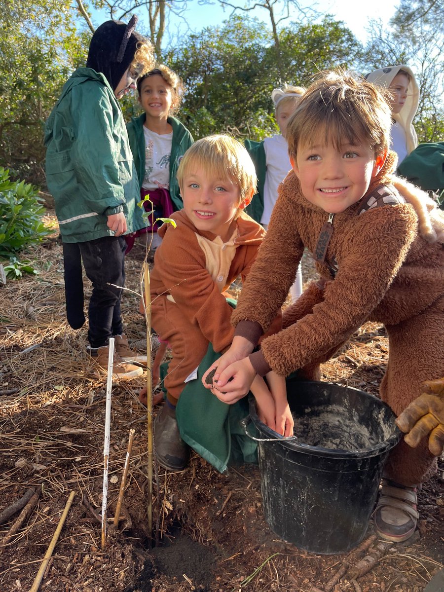 YarrellsSchool's tweet photo. Year 2 children had a great lesson learning about trees and how they are essential to our planet!  They then enjoyed planting their class tree, Gerald, and want to come back in 20 years to see how it has grown!
#climateaction #earthshot @DorsetWildlife @WoodlandTrust @Dorsetecho https://t.co/IiaVQMZGf0