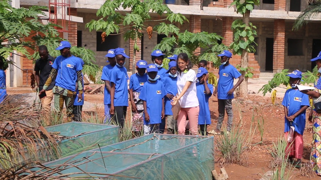 UEauBenin's tweet photo. Sensibilisation des enfants sur la préservation de la🌍. Avec #TAMAEE et #Citoyensdesrues, une cinquantaine d’enfants étaient à la ferme agro-écologique de #KALAUPAPA. Ils ont pris des résolutions pour la protection de la planète.
#COP26Glasgow
#EUatCOP26
#EUGreenDeal https://t.co/MCWPQCGnxT