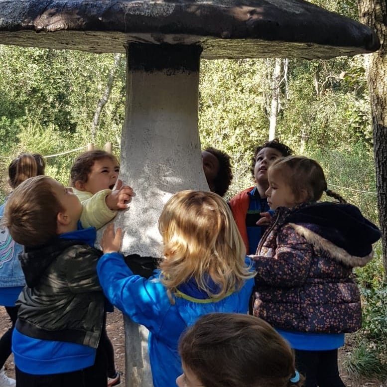 FEDACerdanyola's tweet photo. I3 van gaudir d’un dia ben bonic a Can Ribes, passejant pel bosc i fent diferents activitats per conèixer de més aprop la tardor. Aquí teniu un tastet! @fedacerdanyola @escolesfedac #avuixdemà2024 #passióxeducar #somlatevaescola #treballxprojectes https://t.co/xkxEPSnryT