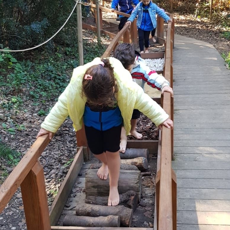 FEDACerdanyola's tweet photo. I3 van gaudir d’un dia ben bonic a Can Ribes, passejant pel bosc i fent diferents activitats per conèixer de més aprop la tardor. Aquí teniu un tastet! @fedacerdanyola @escolesfedac #avuixdemà2024 #passióxeducar #somlatevaescola #treballxprojectes https://t.co/xkxEPSnryT