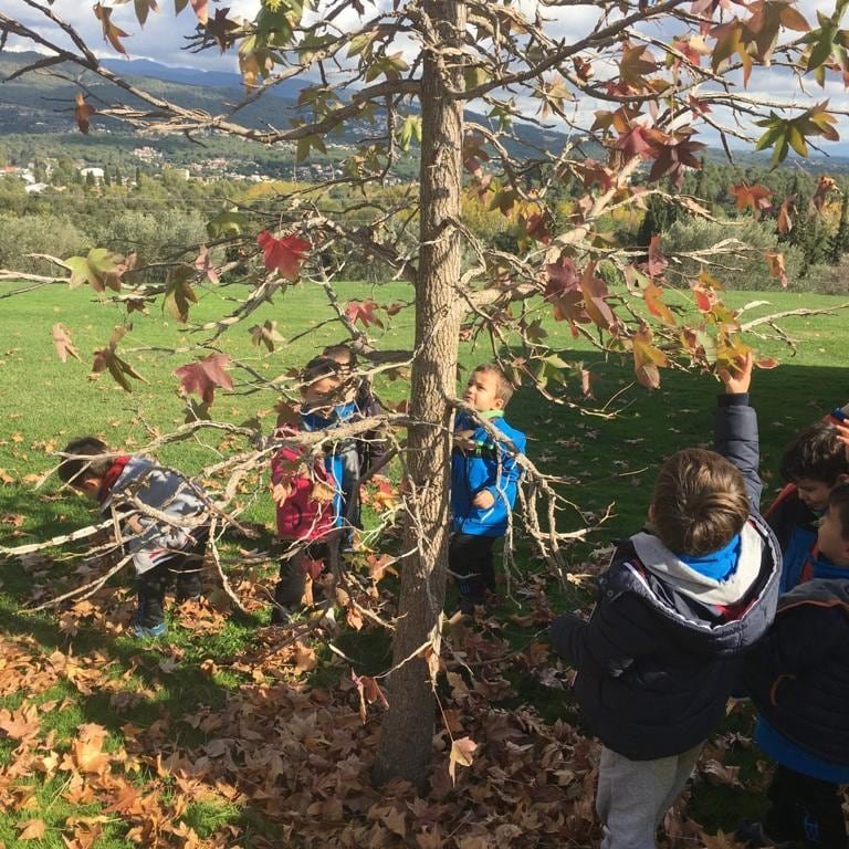 FEDACerdanyola's tweet photo. I3 van gaudir d’un dia ben bonic a Can Ribes, passejant pel bosc i fent diferents activitats per conèixer de més aprop la tardor. Aquí teniu un tastet! @fedacerdanyola @escolesfedac #avuixdemà2024 #passióxeducar #somlatevaescola #treballxprojectes https://t.co/xkxEPSnryT