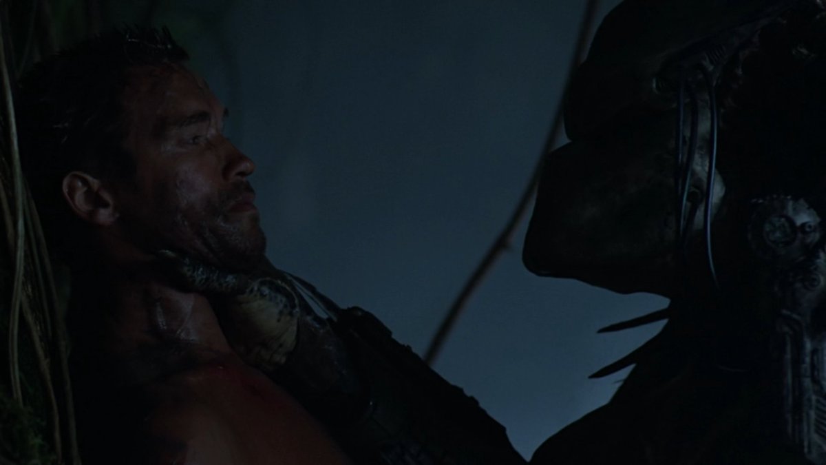 Эльпидия каррильо хищник 2. Джон мактирнан хищник 1987. Хищный 1. Хищный 1. Пума хищник.