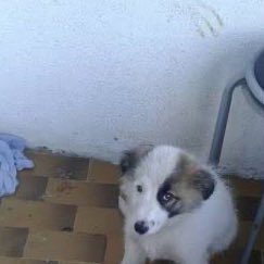 ortamda birisi telefondan bir sey gösterince acaba bana da göstericek mi diye beklerken ben