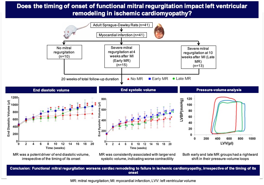 padalalab's tweet photo. Our work on the impact of mitral regurgitation on cardiac remodeling continues, with this new study accepted in JTCVS, " Early vs. Late Onset Mitral Regurgitation on Cardiac Remodeling in Ischemic Cardiomyopathy". @MichaelHalkos @EmoryCTSurgery @kanikakalra_MD https://t.co/LhiMBiKmlU